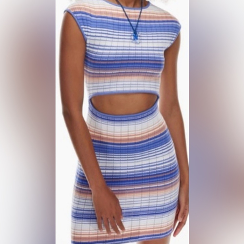 Aritzia dress